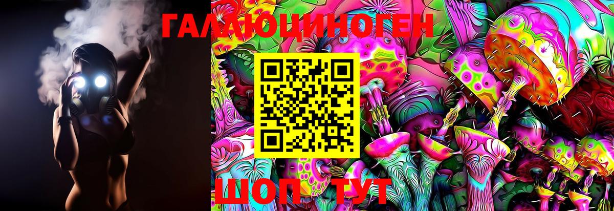 Кохма  Псилоцибиновые грибы Magic Shrooms  Вход с VPN 