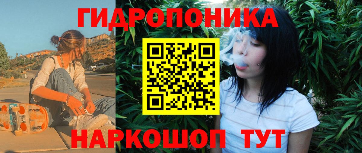 Каннабис индика Кохма
